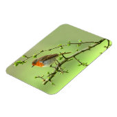 ザロビン マグネット (左側)