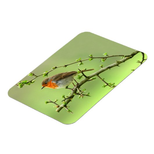 ザロビン マグネット (左側)