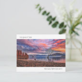 ザロンリーツリー – ワナカ，ニュージーランド ポストカード (スタンド正面)