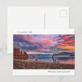 ザロンリーツリー – ワナカ，ニュージーランド ポストカード (正面/裏面)