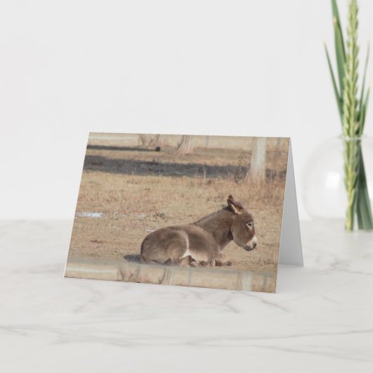 ザロンリーロバ カード (正面)