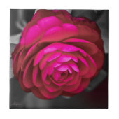 ザロージー・カメリア タイル (正面)