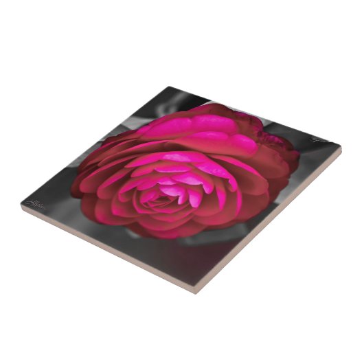 ザロージー・カメリア タイル (側面)