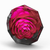 ザロージー・カメリア フォトブロック (右)