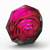 ザロージー・カメリア フォトブロック (左)