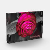 ザローズツバキのお母さんの日 フォトブロック (左)