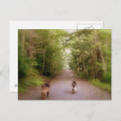 ザロードホーム ポストカード (正面/裏面)