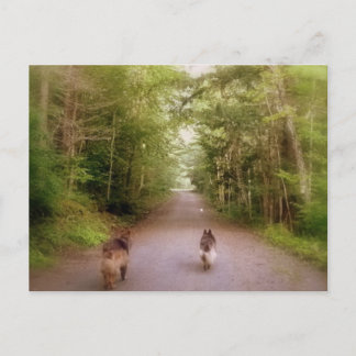 ザロードホーム ポストカード