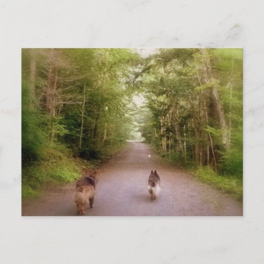 ザロードホーム ポストカード (正面)