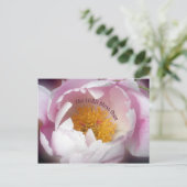 ザロード・テ賛美ー ポストカード (スタンド正面)