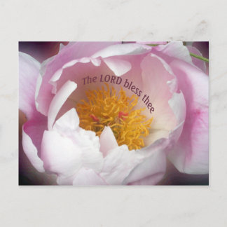 ザロード・テ賛美ー ポストカード