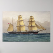 ザワイルドスワン, 1906 ポスター (正面)