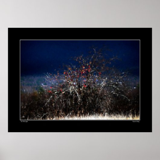 ザワイルドリンゴ ポスター (正面)