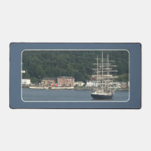 ザワバーリー・パドル汽船と高層の船