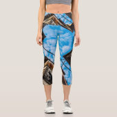 ザンジバルのストーンタウン上空 カプリレギンス (正面)