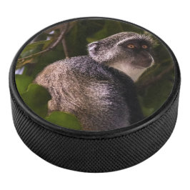 ザンジバル・ブルー・モンキー アイスホッケーパック