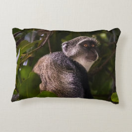 ザンジバル・ブルー・モンキー アクセントクッション