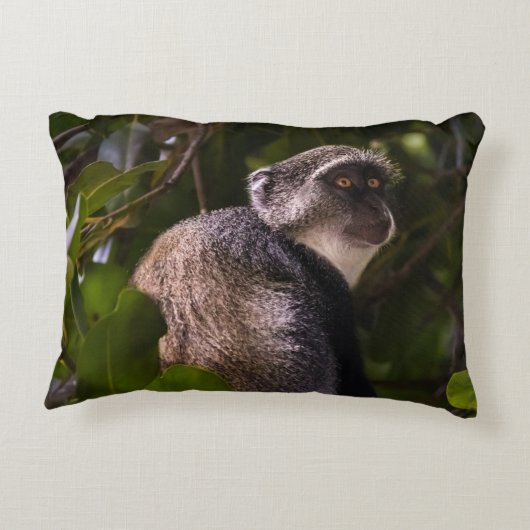 ザンジバル・ブルー・モンキー アクセントクッション (裏面)