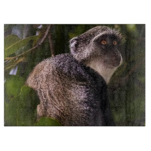 ザンジバル・ブルー・モンキー カッティングボード (正面)