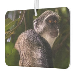 ザンジバル・ブルー・モンキー カーエアーフレッシュナー