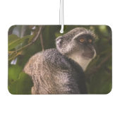 ザンジバル・ブルー・モンキー カーエアーフレッシュナー (正面)