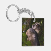 ザンジバル・ブルー・モンキー キーホルダー (正面左)