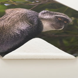 ザンジバル・ブルー・モンキー シェルパブランケット