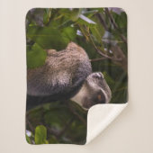 ザンジバル・ブルー・モンキー シェルパブランケット (正面)