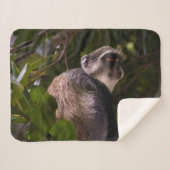 ザンジバル・ブルー・モンキー シェルパブランケット (正面(横))