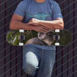 ザンジバル・ブルー・モンキー スケートボード