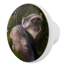 ザンジバル・ブルー・モンキー セラミックノブ