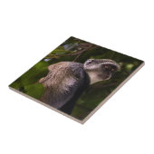 ザンジバル・ブルー・モンキー タイル (側面)