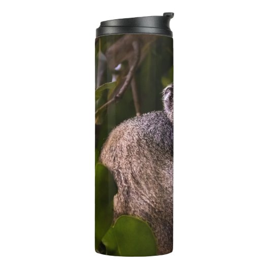 ザンジバル・ブルー・モンキー タンブラー (回転左)