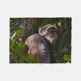 ザンジバル・ブルー・モンキー フリースブランケット