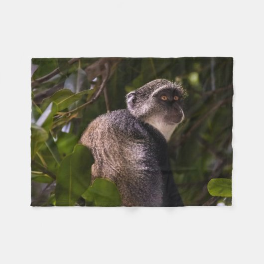 ザンジバル・ブルー・モンキー フリースブランケット (正面(横))
