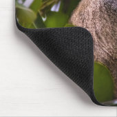 ザンジバル・ブルー・モンキー マウスパッド (コーナー)