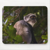 ザンジバル・ブルー・モンキー マウスパッド (正面)