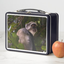 ザンジバル・ブルー・モンキー メタルランチボックス