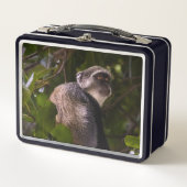 ザンジバル・ブルー・モンキー メタルランチボックス (正面)
