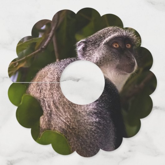 ザンジバル・ブルー・モンキー ワイングラスタグ (裏面)