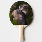 ザンジバル・ブルー・モンキー 卓球ラケット (裏面)