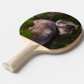 ザンジバル・ブルー・モンキー 卓球ラケット (正面アングル)