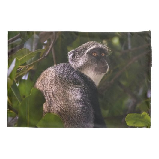 ザンジバル・ブルー・モンキー 枕カバー (裏面)