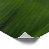 ザンテデシア・カラリリー ポスター (角)