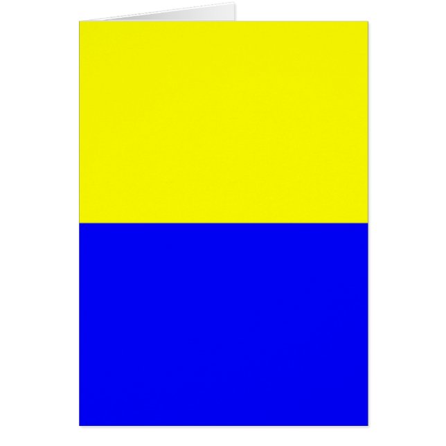 ザンドヴォート国旗 (正面)