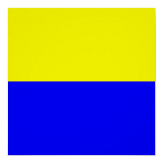 ザンドヴォート国旗 ポスター (正面)