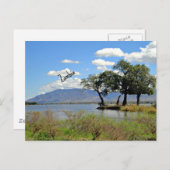 ザンビアの風景 ポストカード (正面/裏面)