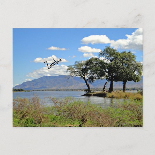 ザンビアの風景 ポストカード (正面)