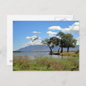 ザンビア風景 ポストカード (正面/裏面)