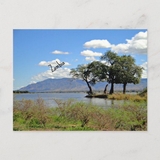 ザンビア風景 ポストカード (正面)